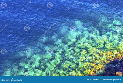 Background Made Of Crystal Clear Azure Sea Water Stock Image Image Of