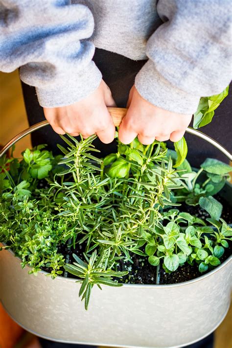 Easy Diy Indoor Herb Garden This Simple Indoor Herb Planter Can Be
