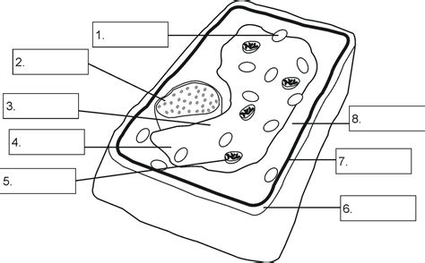 Maybe you would like to learn more about one of these? Plant Cell Coloring Key Inspirational Plant and Animal ...