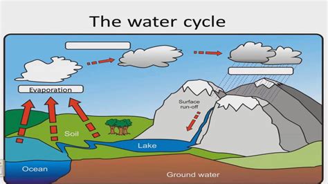 El Ciclo Del Agua En Inglés Para Niños De Primaria Water Cycle