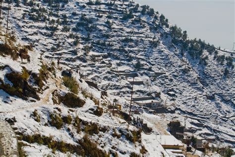 Nestled amidst picturesque forests, haut monde hill stream resort is approximately 40 kilometers from dhanaulti and an ideal choice for all nature lovers and leisure travelers. Dhanaulti - snow clad hill | Footwa