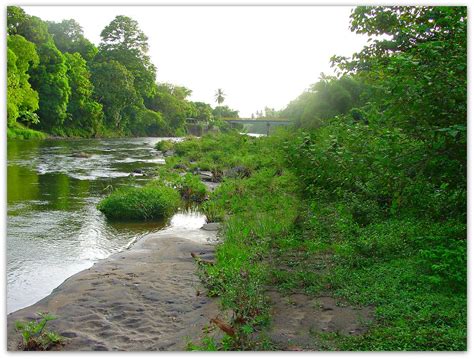 Layou Riverdominica Kaspar C Flickr