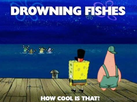 30 Famous Spongebob Memes