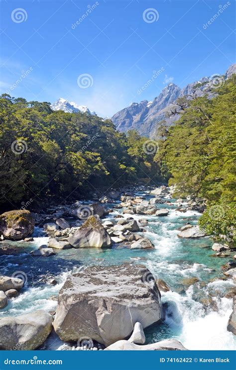 Alpine Mountain River In Wilderness Stock Photo Image Of Fresh Water