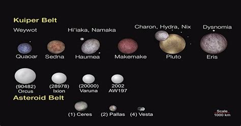 The debris field in this instance includes the entire kuiper belt, just as ceres debris field includes all of the other asteroids. Some of the larger Kuiper Belt objects vs. Asteroid Belt ...