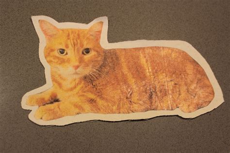 Custom Cat Pillow Diy Tutorial