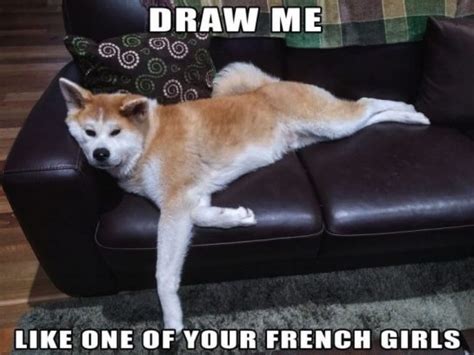 15 Funny Dog Memes That You Should Show To Your Friends Who Own An