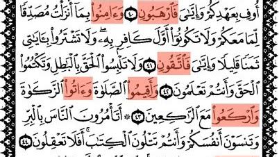 Meskipun terdapat perbedaan dalam perhitungan ayat dan huruf, isi dari alquran tidak lah berubah. Contoh Fiil Amar Dalam Ayat Al Quran - Berbagai Contoh