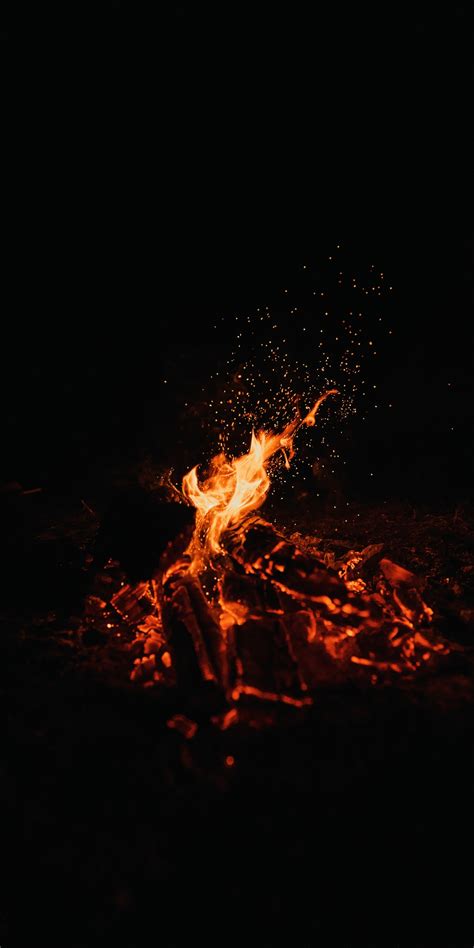 Bonfire Wallpaper 4K, Dark, Black background, Campfire, Flame
