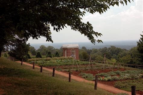 The Vegetable Garden At Monticello Photograph By Leeann Mclanegoetz