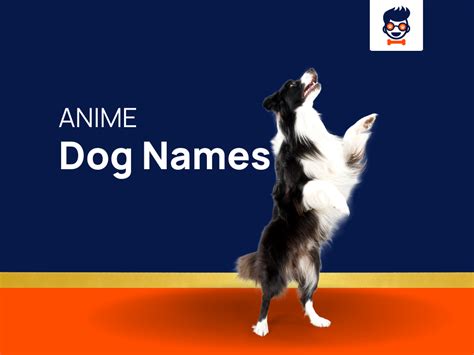 533 Best Anime Dog Names Ideas Generator