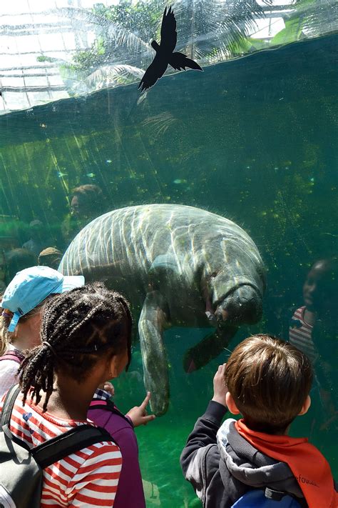 Parc Zoologique De Paris