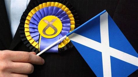 Scottish Referendum Yes Parties See Surge In Members Bbc News
