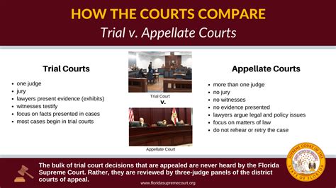 explain any two difference between a trial and appellate courts demetriuskruwespinoza