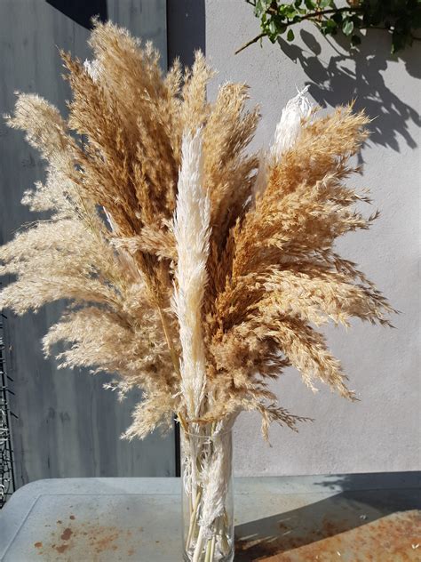 Tripadvisor has 116,601 reviews of carcassonne center hotels, attractions, and restaurants making it your best carcassonne center resource. L'effet des Fleurs - 1,592 Photos - 12 Reviews - Florist ...