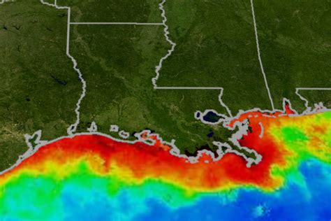 Largest Ever Gulf Dead Zone Reveals Stark Impacts Of