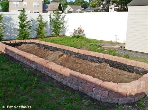How To Build A Raised Garden Bed For Vegetables Pet