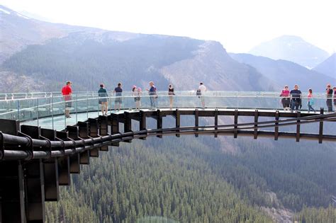 Explore Glacier Skywalk Jasper National Park This Big Adventure