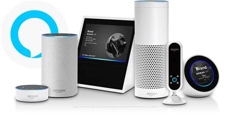 Yext And Amazon Alexa Power Your Business Information On Every Amazon