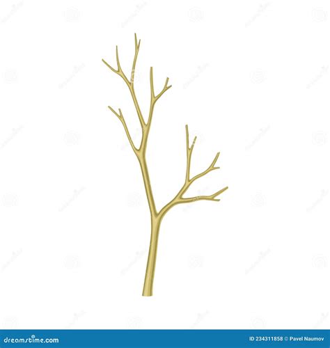 Bare Tree Branch Or Twigs With Naked Stem And Snag Vector Illustration