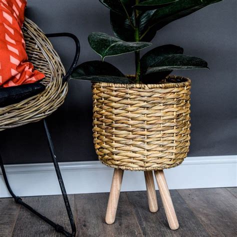 A statement plant deserves a designer planter. Water hyacinth lined basket on legs | Water hyacinth ...