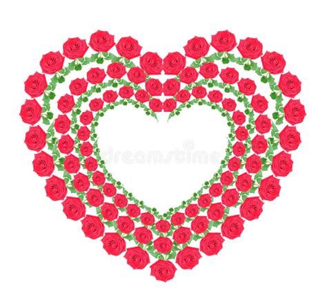 Heart From Red Roses Stock Photo Image Of Isolated Engagement 10694994