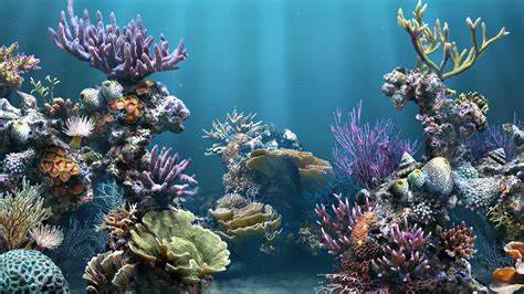 Cool Fish Tank Backgrounds Images & Pictures Becuo