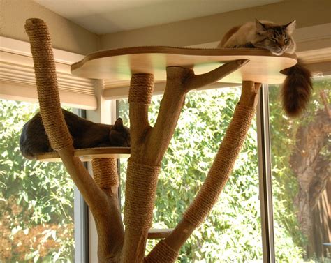 I Made A Cat Tree From An Actual Tree Diy