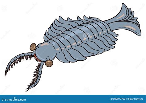 Anomalocaris Prehistoric Creature Of The Cambrian Period 3d Science