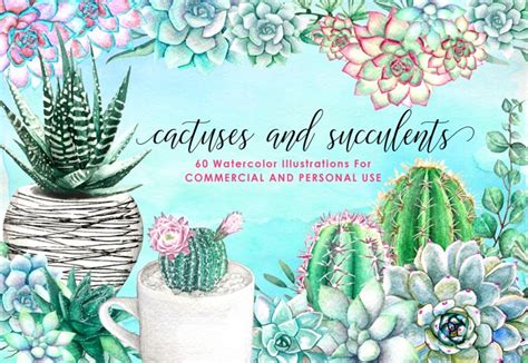 60 Watercolor Succulents And Cactus Bundle Watercolor Flowers 72926