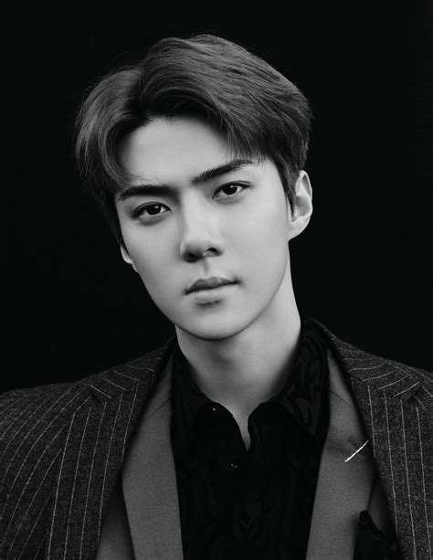 Update Exos Sehun Rocks The Bad Boy Look And More In Teasers For “don