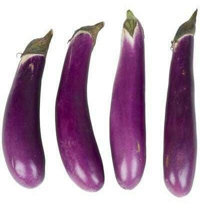 Selain dimasak balado, terong ungu juga bisa dibakar dengan olesan bumbu. biji benih terong ungu panjang (25 biji) | Shopee Indonesia