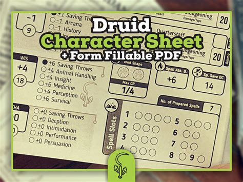 The Cover Of Druid Character Booklet And Form Fillable Pdf