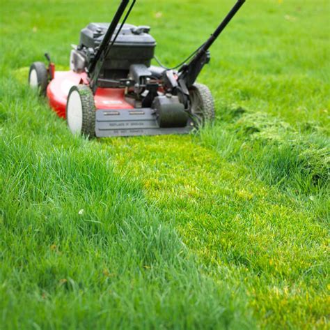 The Best Ways To Mow A Lawn To Keep It Healthy Better Homes And Gardens