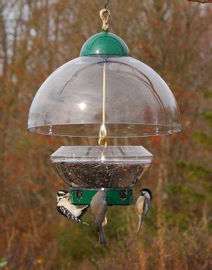 Wild bird dome feeders : Droll Yankees® Big Top® Squirrel-Proof Bird Feeder w/ 15.5 ...