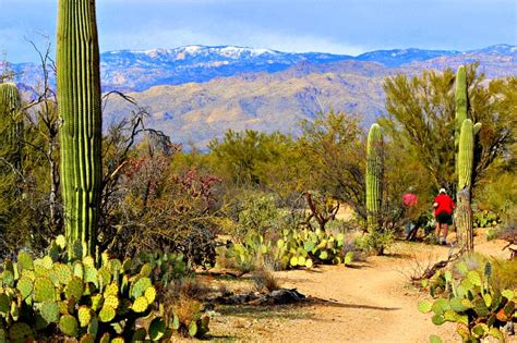 Five National Parks To Visit On The Ultimate Southwestern Desert Road