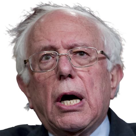 Bernie Sanders Head 2 Png Blank Template Imgflip