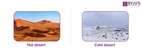 Desert Ecosystem Plant And Animal Adaptations In Hot And Cold Deserts