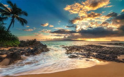 Download Wallpaper 1440x900 Palm Trees Sea Clouds Beach Sunset Hd