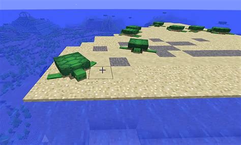 Taming Sea Turtles In Minecraft