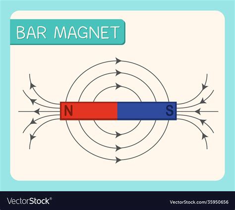 Bar Magnet Diagram For Education Royalty Free Vector Image
