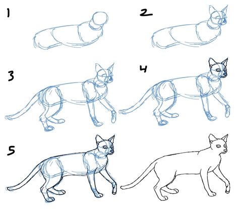 Savanna Williams How To Draw Cat Bodies In Poses How To Draw Cat