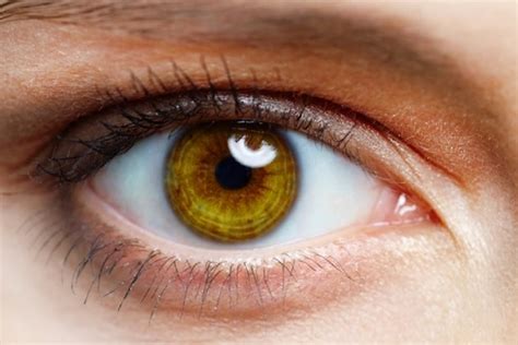 Formas De Mudar A Cor Dos Olhos Naturalmente Fatos Desconhecidos