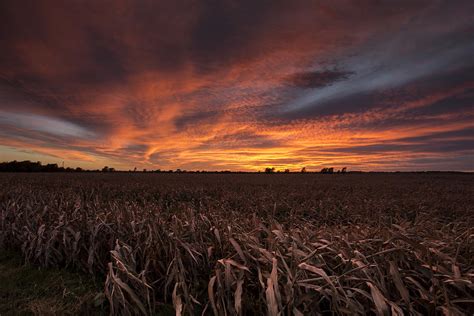 Milo Harvest Sunset Photograph By Chris Harris Fine Art America