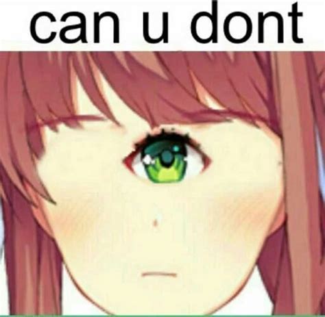 Put Your Favorite Monika Memes In The Comments Fandom