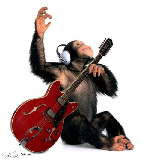 Jam Band Monkey Monkeys Funny Chimp Funny Chimp
