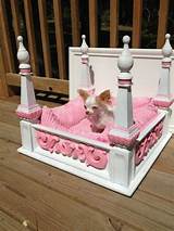 Photos of Princess Beds For Dogs