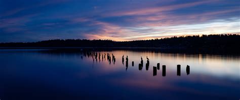 Download Wallpaper 2560x1080 Lake Sunset Silhouettes Birds Horizon Trees Dual Wide 1080p Hd
