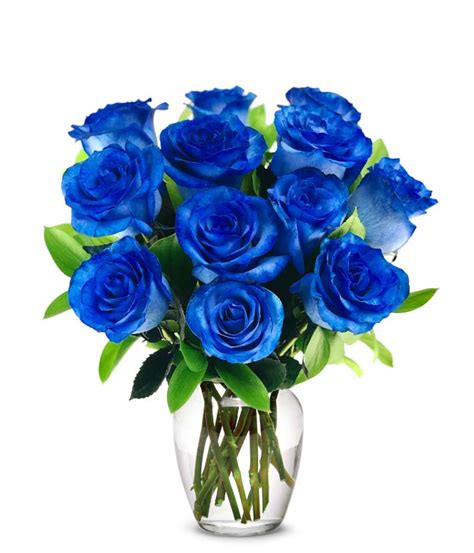 Real Blue Rose Bouquet Ubicaciondepersonascdmxgobmx