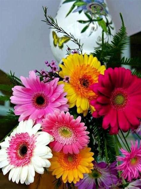 Pin By Kathy Bills On Favorite Places And Spaces Gerbera Daisy Bouquet